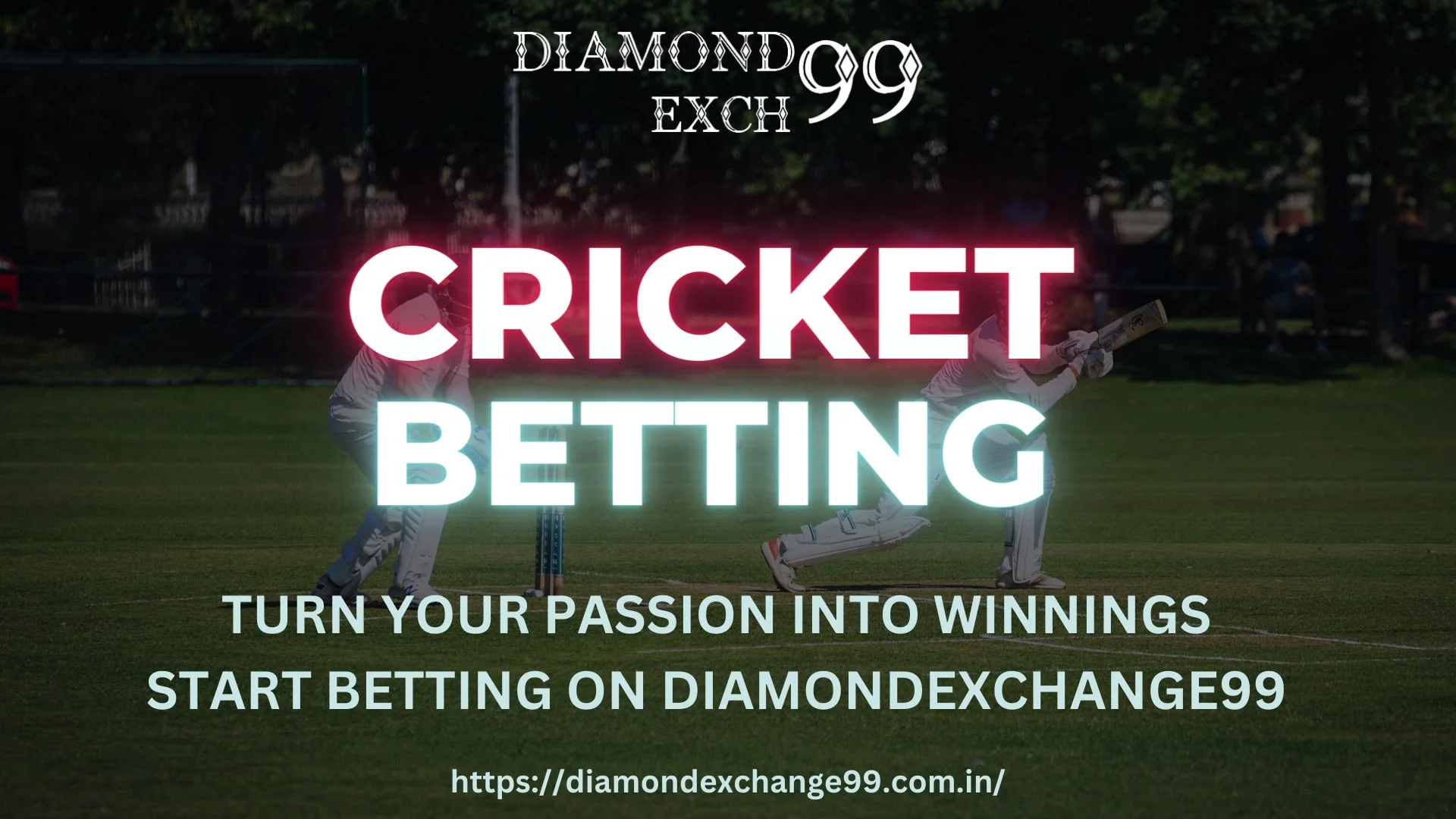 Diamondexch Cricket betting